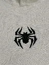 spidey 1.webp